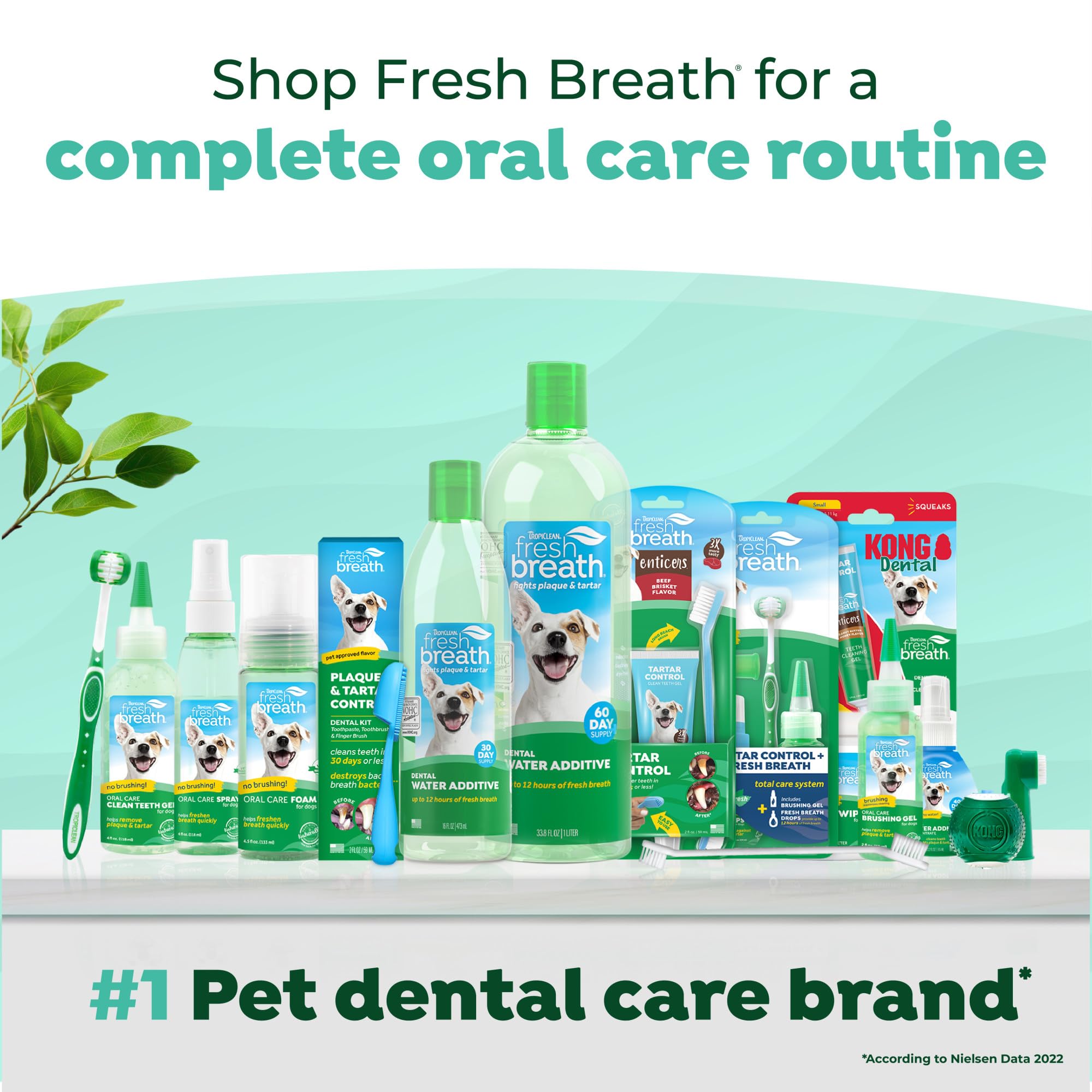 TropiClean Fresh Breath: guía de uso diario sin cepillado para gatos