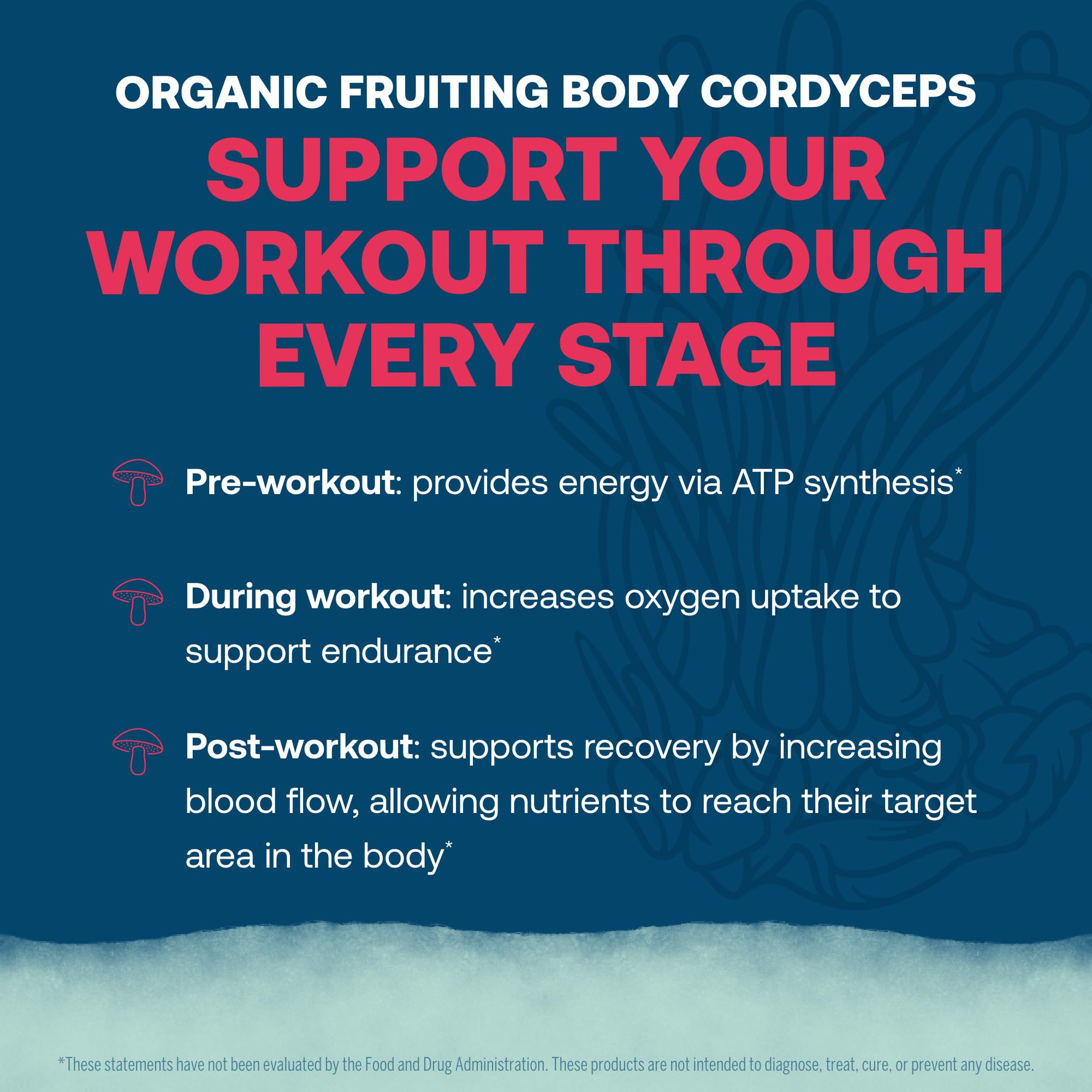 True Grace ElectroMag cordyceps hongo fructo para apoyo de energía durante ejercicio
