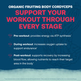 True Grace ElectroMag cordyceps hongo fructo para apoyo de energía durante ejercicio