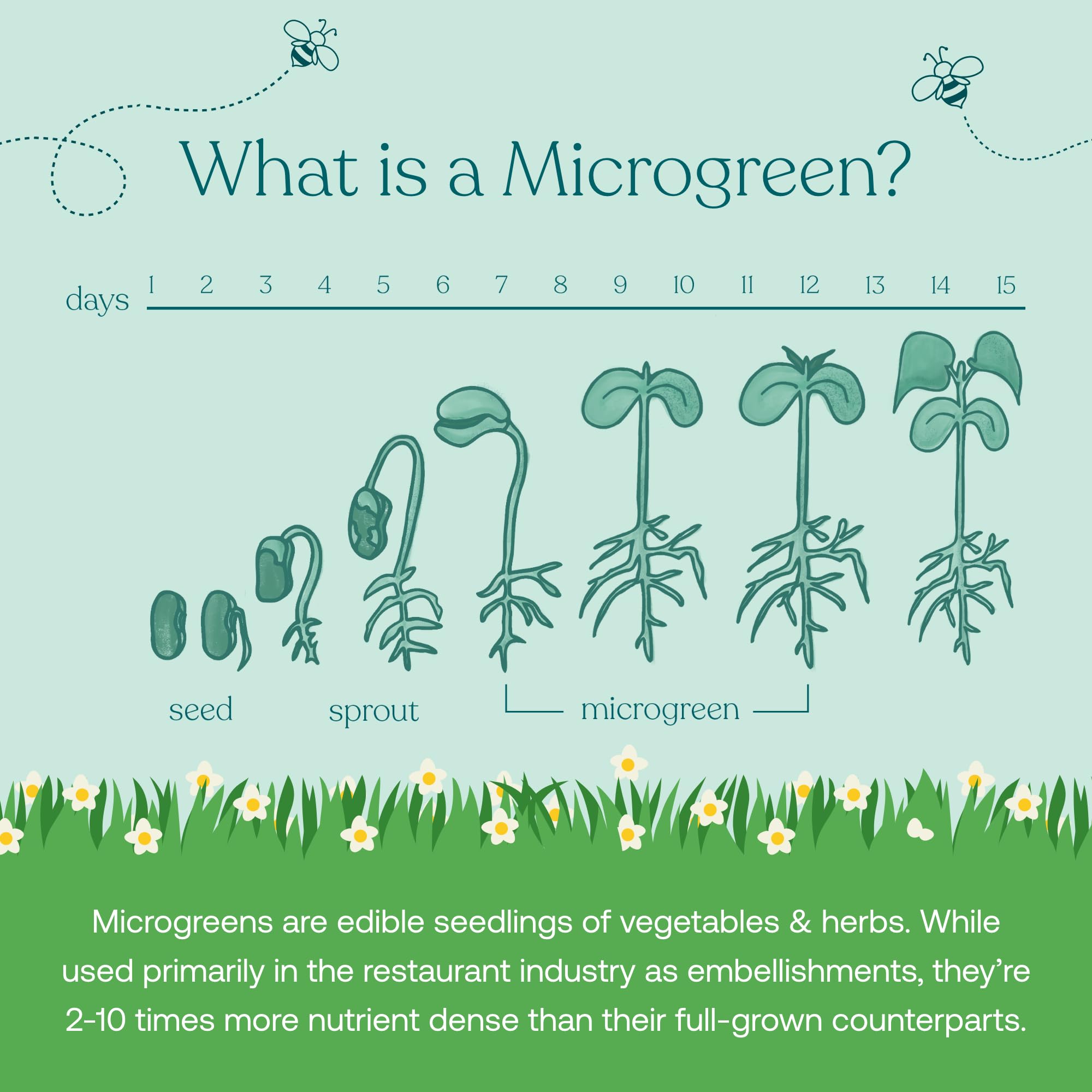 Etiqueta ROC en True Littles MicroVeggies destacando transparencia
