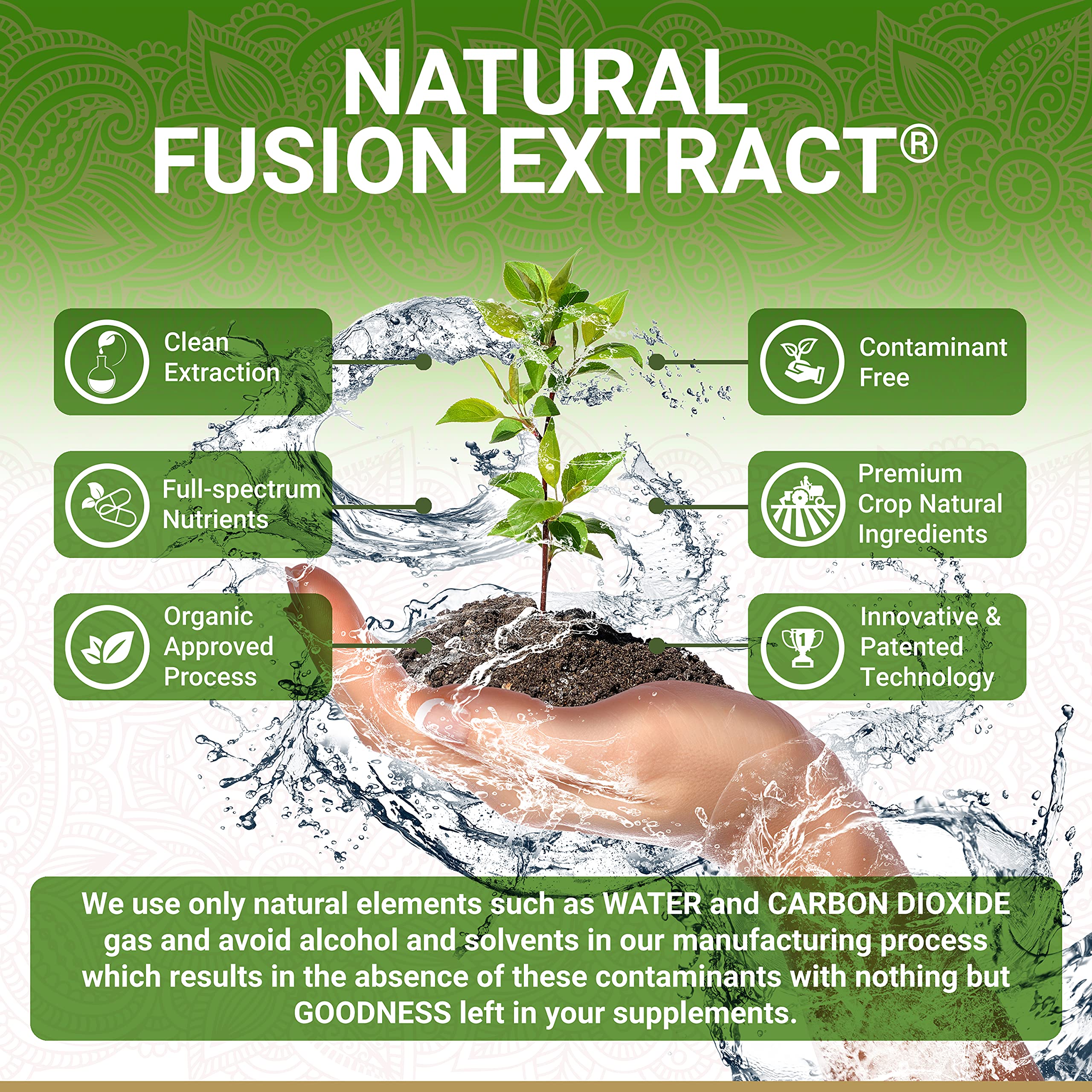 Capsulas veganas de amla con bioflavonoides para apoyo diario