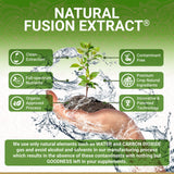 Capsulas veganas de amla con bioflavonoides para apoyo diario