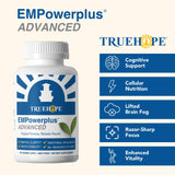 Estudios sobre EMPowerplus y salud cerebral