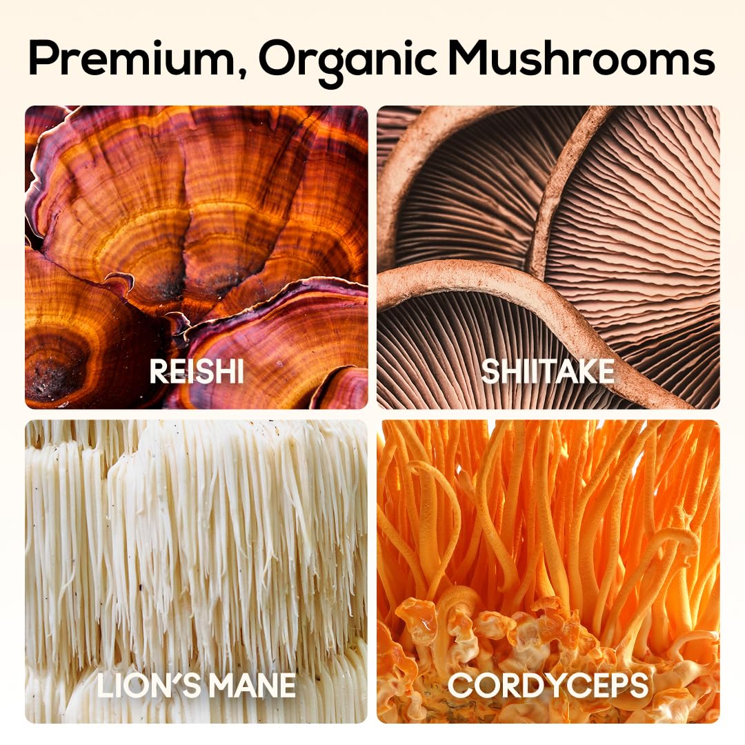 TrueMushroom gominolas Cordyceps, enfoque en ingredientes funcionales para dormir