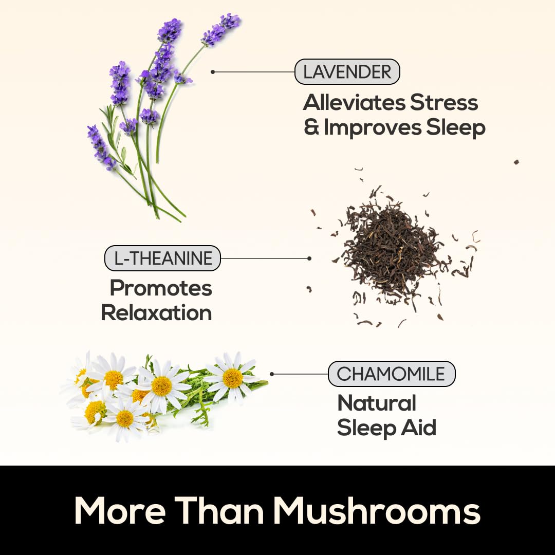 TrueMushroom gominolas Shiitake, ingredientes naturales de calidad