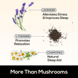 TrueMushroom gominolas Shiitake, ingredientes naturales de calidad