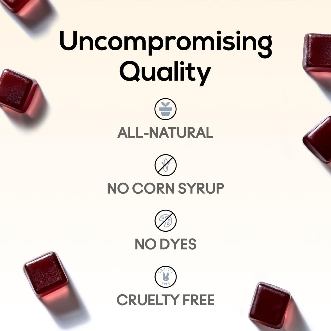 TrueMushroom ingredientes naturales, mezcla premium para descanso
