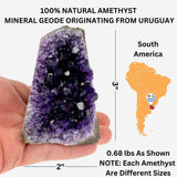 TruEnergy amatista geoda oscura muestra dimensiones imponentes y brillo natural.