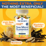 TrueSeaMoss raíz de bardana aroma herbal en cada bocado