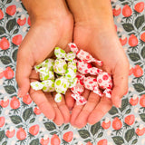 Sabor lichí de Tummydrops Groovy brinda frescor afrutado en cada sorbo