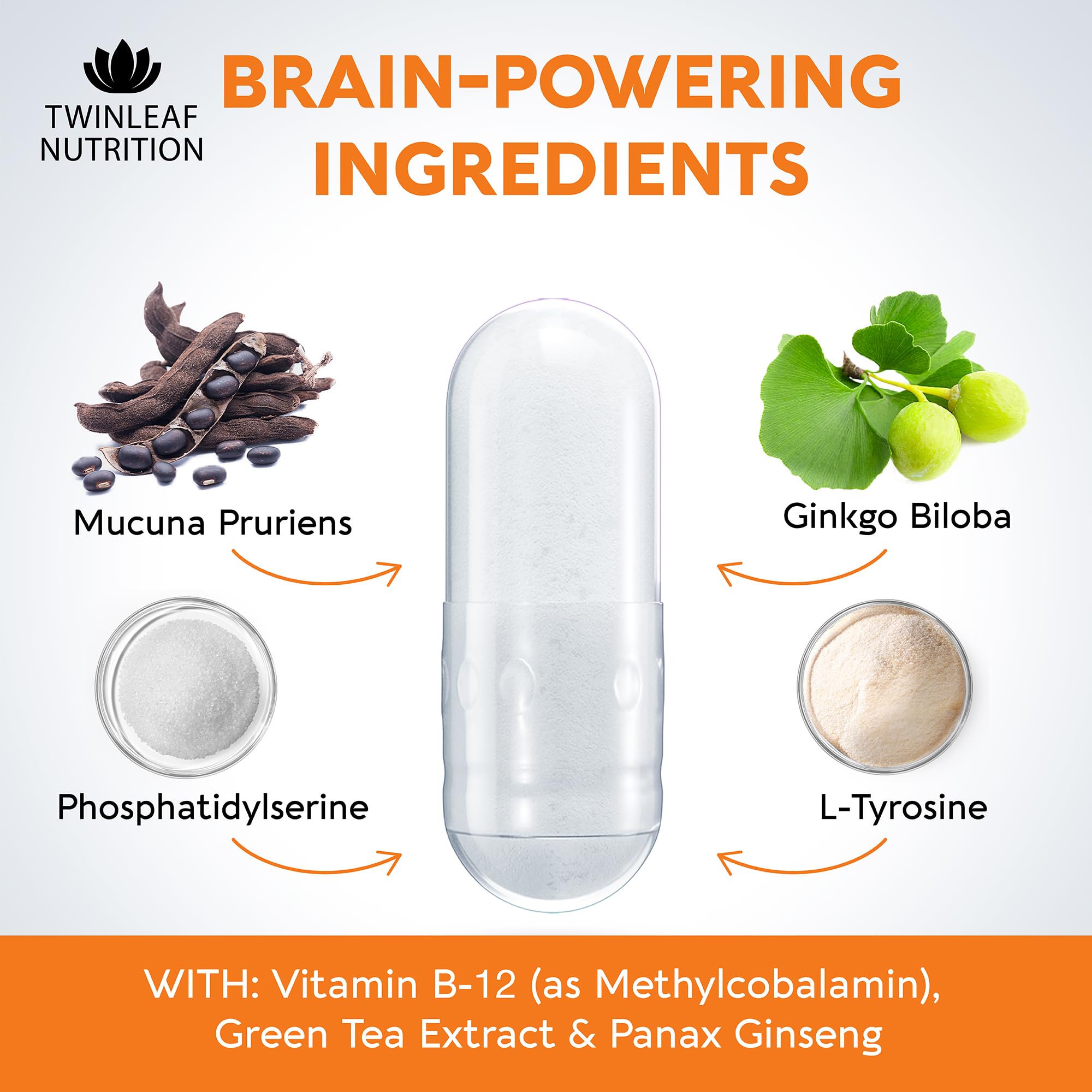 DMAE en TwinLeaf Nutrition: apoyo cerebral y señalización.
