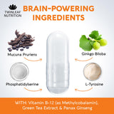 DMAE en TwinLeaf Nutrition: apoyo cerebral y señalización.