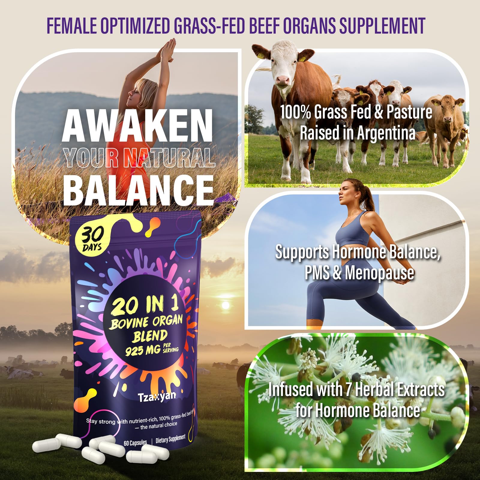 tzaxyan higado-res órganos – fuente de nutrientes para apoyo diario.