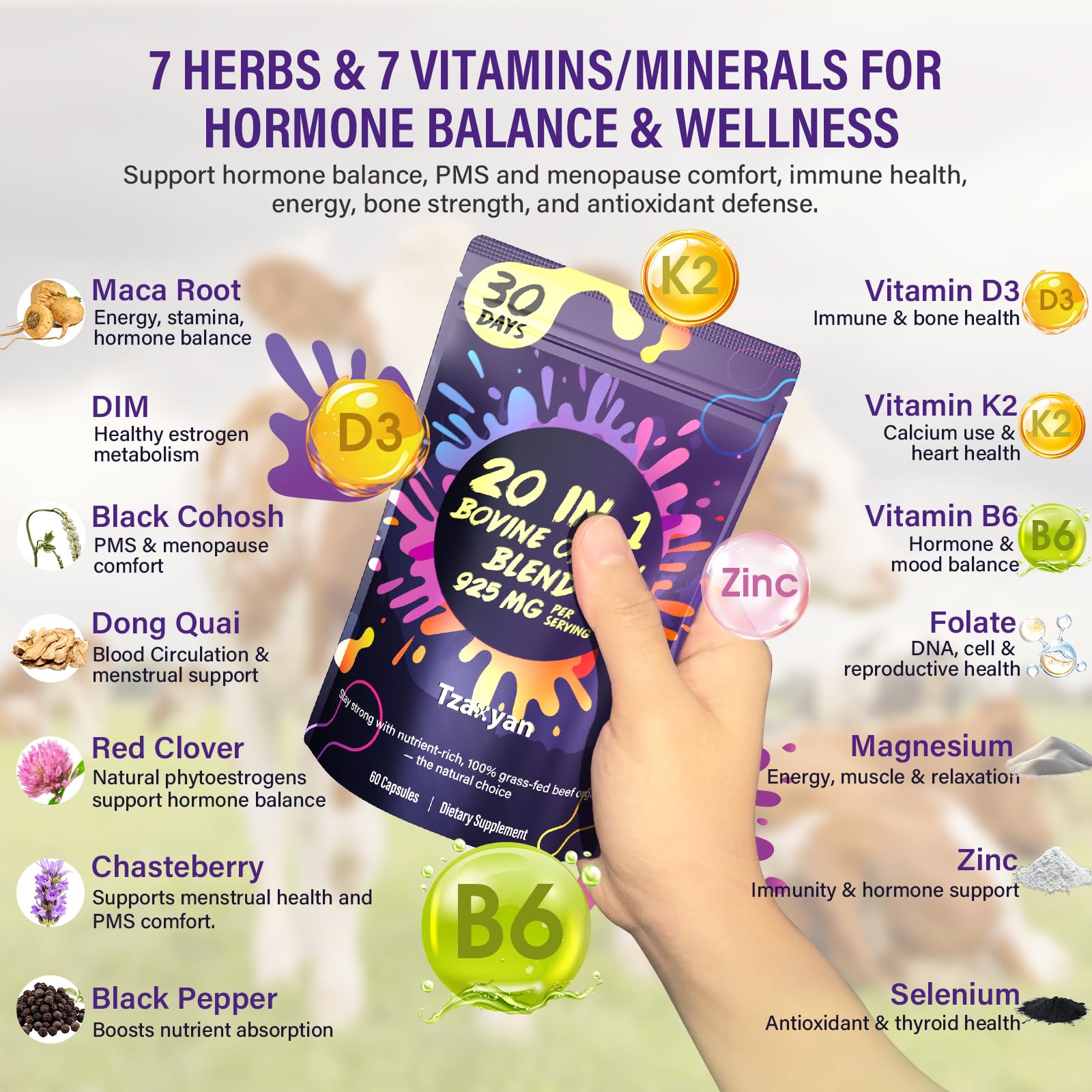 tzaxyan maca-dim-cohosh-dong-quai – mezcla herbal para balance hormonal.