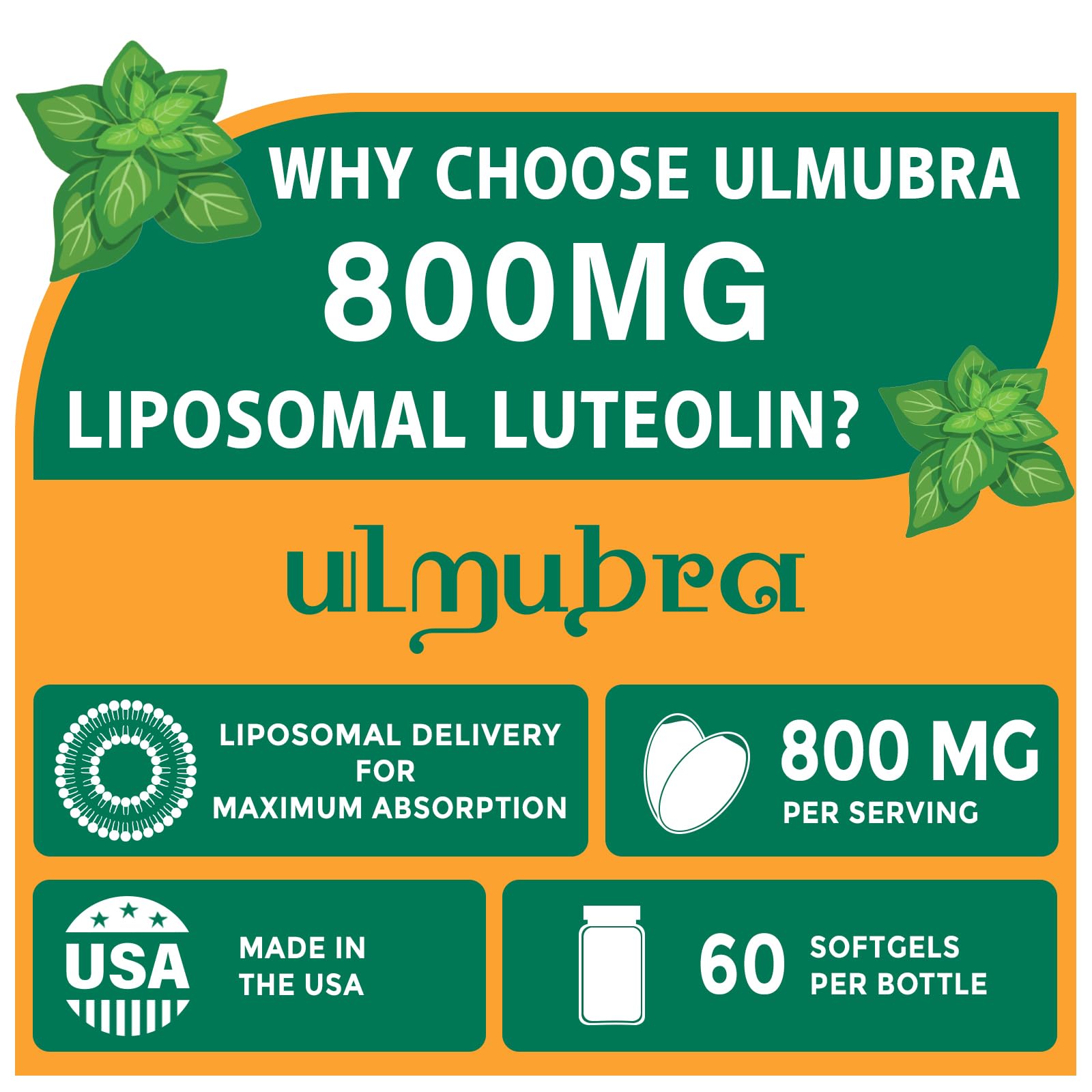 Cápsulas liposomales Ulmubra, fáciles de tragar para uso diario.