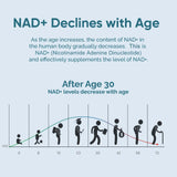 UltraViat NAD+ 1000 mg ingredientes clave: mezcla de NAD+, resveratrol y vitaminas.