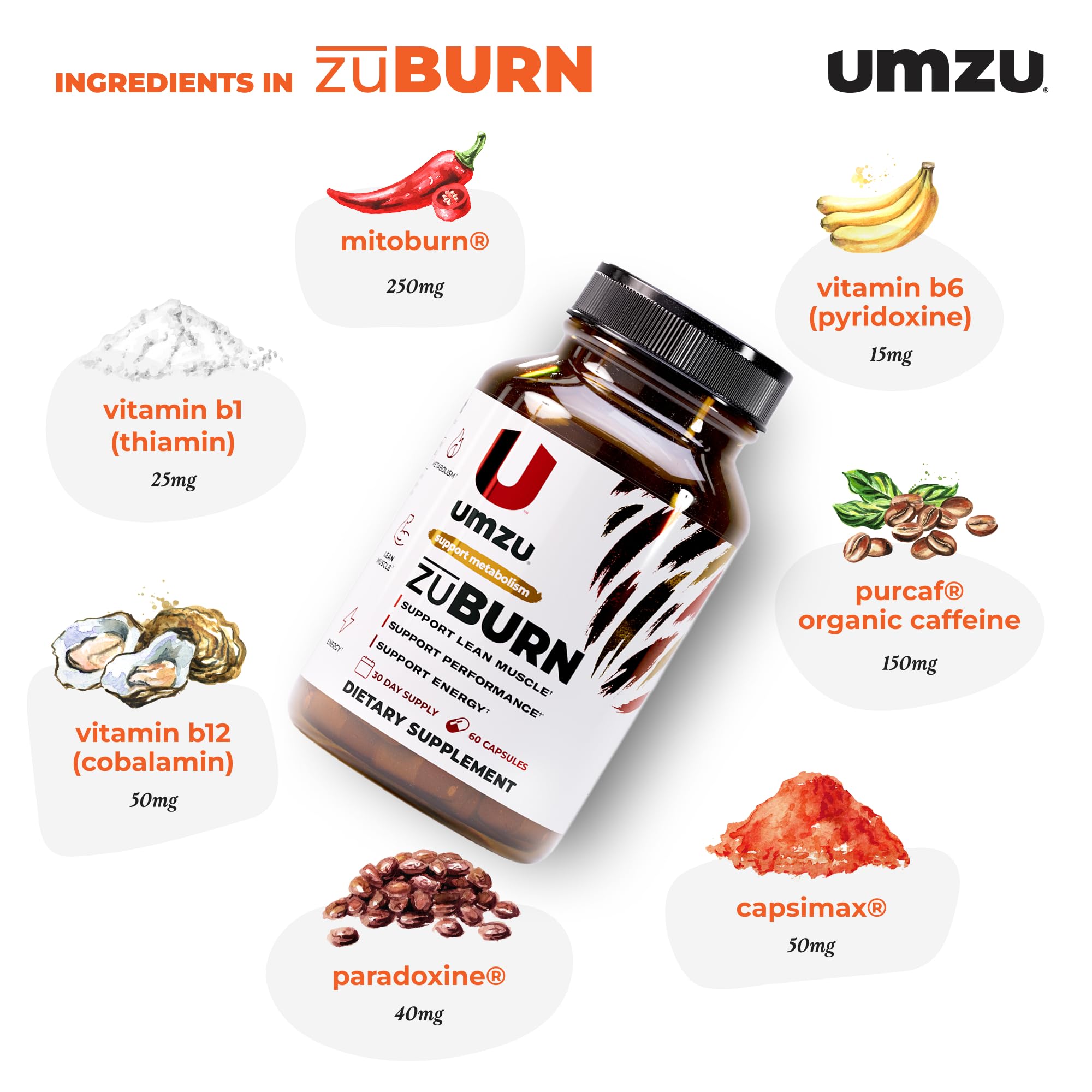 ZuBurn vitaminas B para claridad mental durante el día