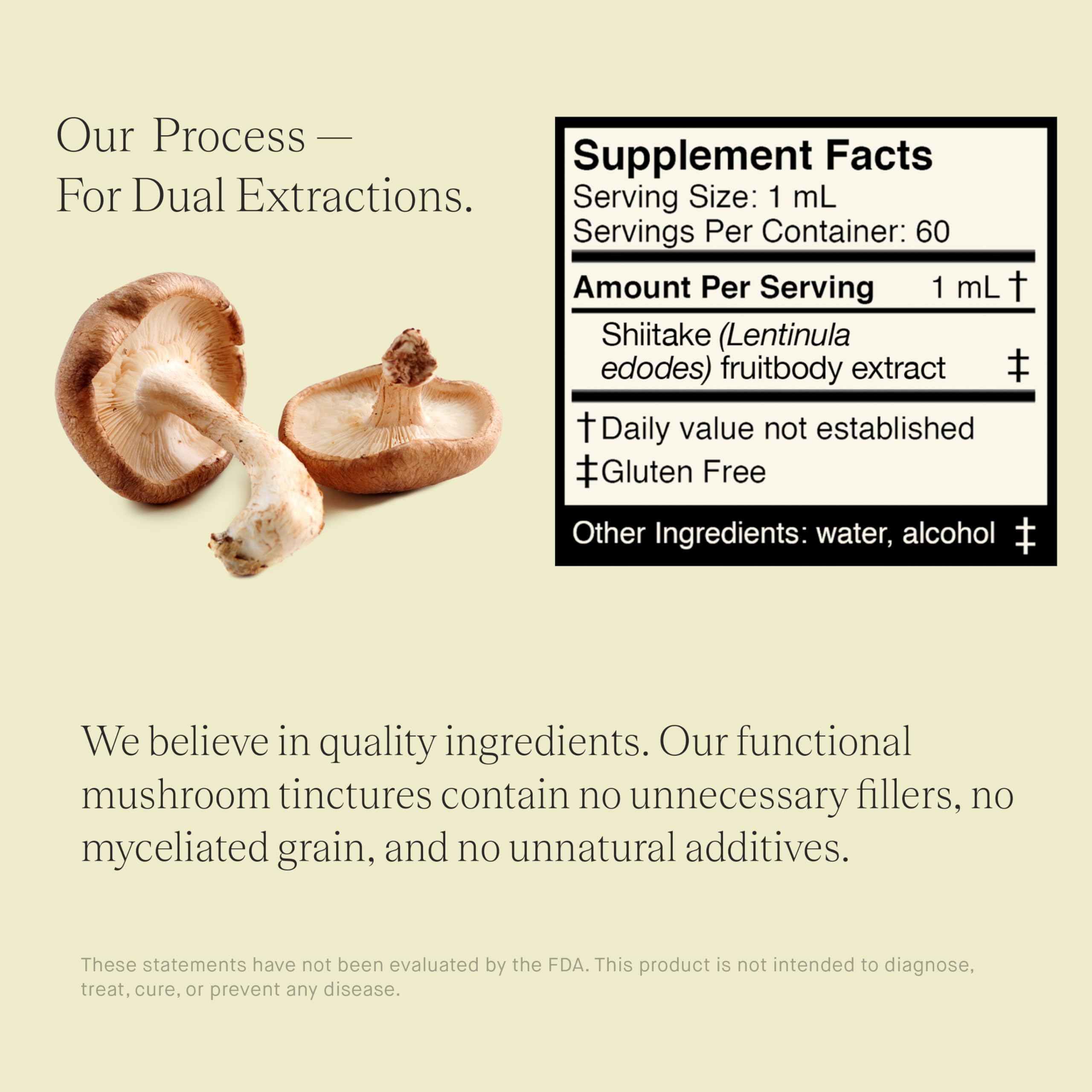 Proceso de extracción doble en la tintura de Shiitake de UPHORIC URTH