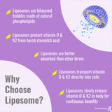 UpNourish empaque práctico para casa