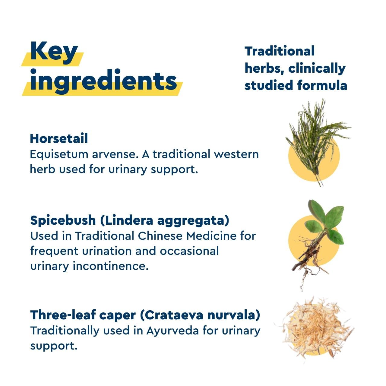 Uqora In Control herbal blend with spicebush and horsetail.