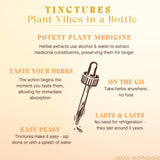 Raíz de bardana presente: ingrediente herbal para un perfil digestivo suave.