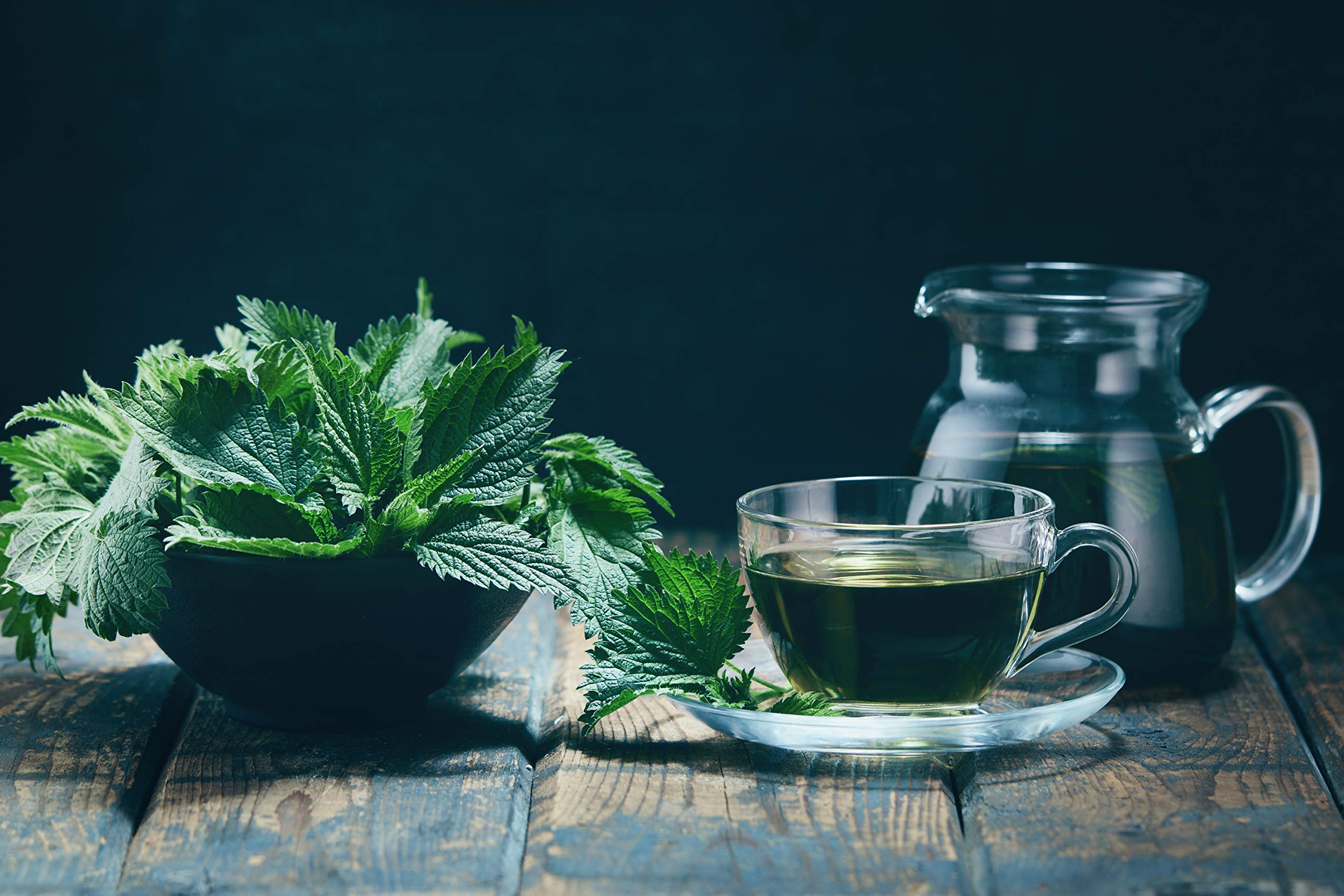 Hojas jóvenes de ortiga, seleccionadas a mano por U.S. Wellness Naturals.