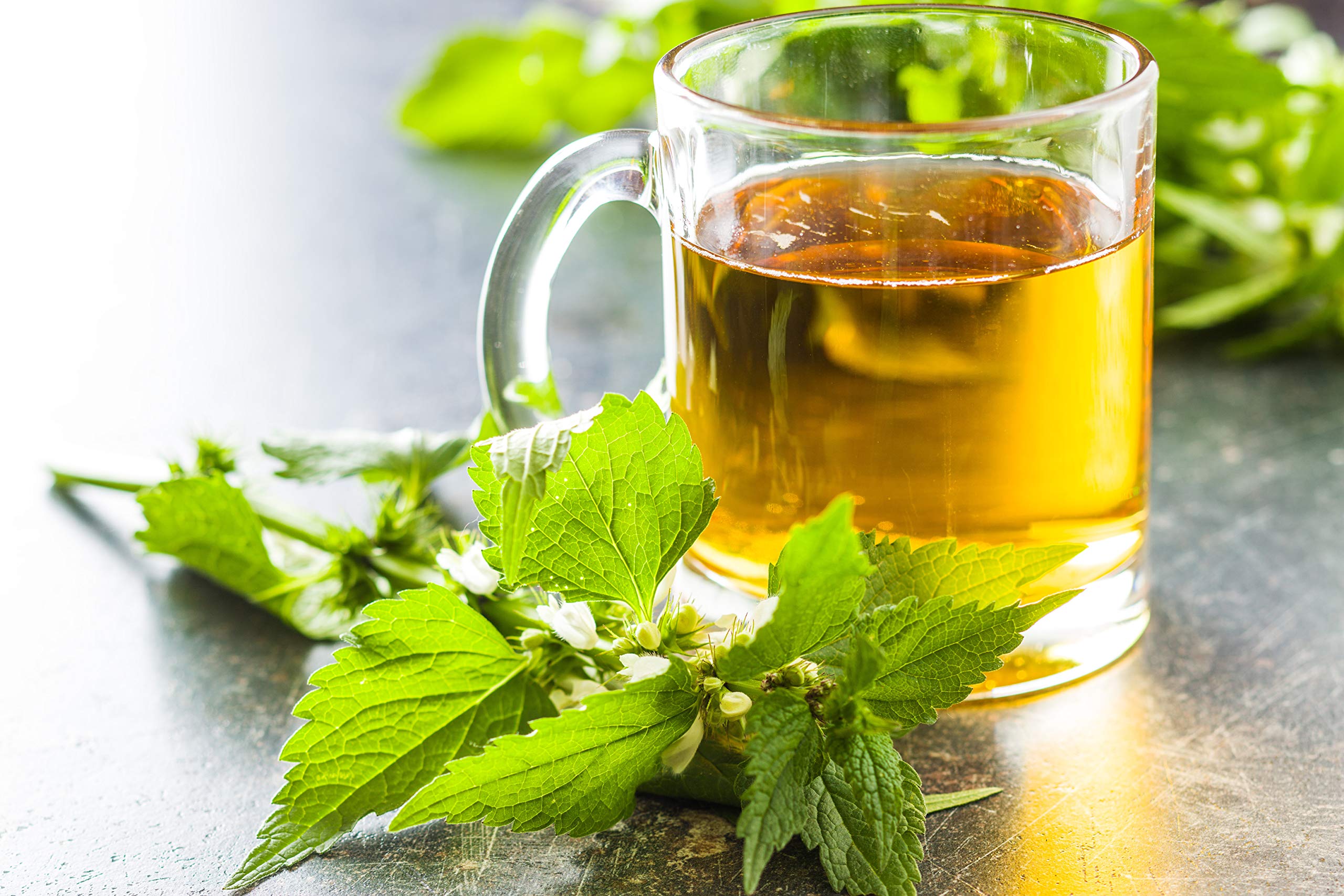 Infusión de ortiga recogida a mano, de U.S. Wellness Naturals.