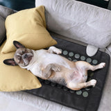 Correa ajustable para fijar la almohadilla a una silla o sillón.
