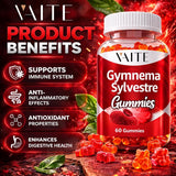 VAITE Gymnema Sylvestre gomitas: vista frontal del producto.
