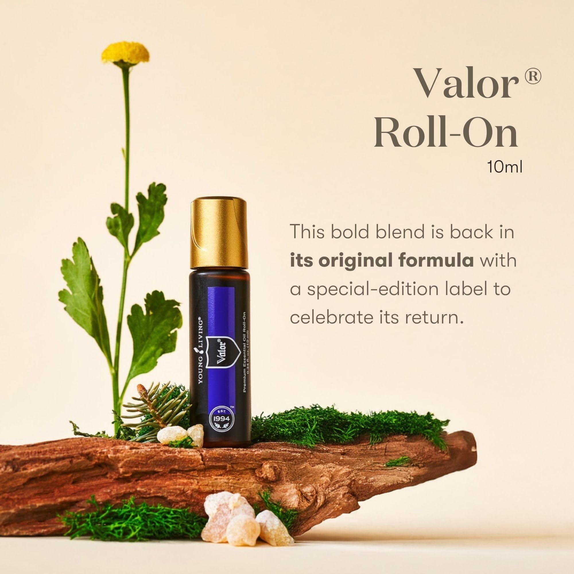 Abeto negro en Valor Roll-On aporta notas terrosas para equilibrio diario.