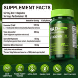 VCBIRD Nad Resveratrol uso diario, enfoque en salud celular y vitalidad