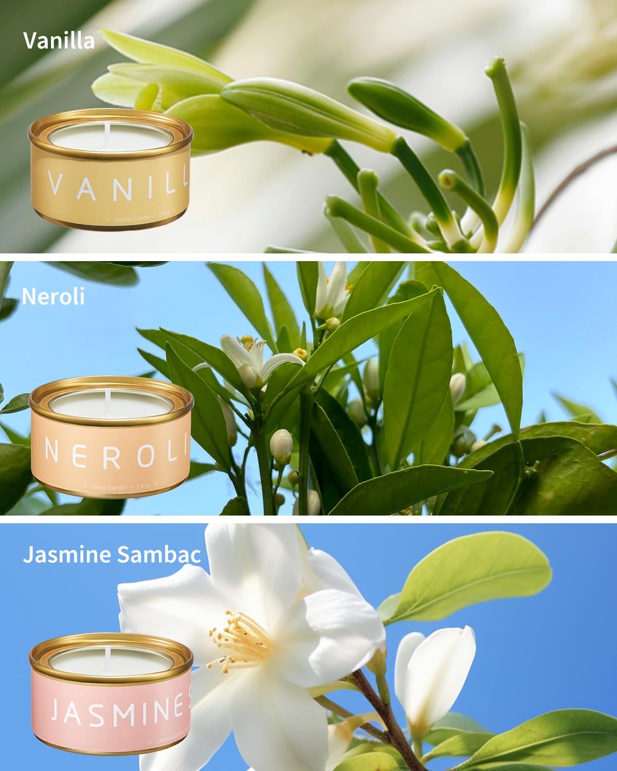 VEDA TINDA SCENT Candela Salvia Sclarea: aroma herbal que facilita la concentración tranquila.