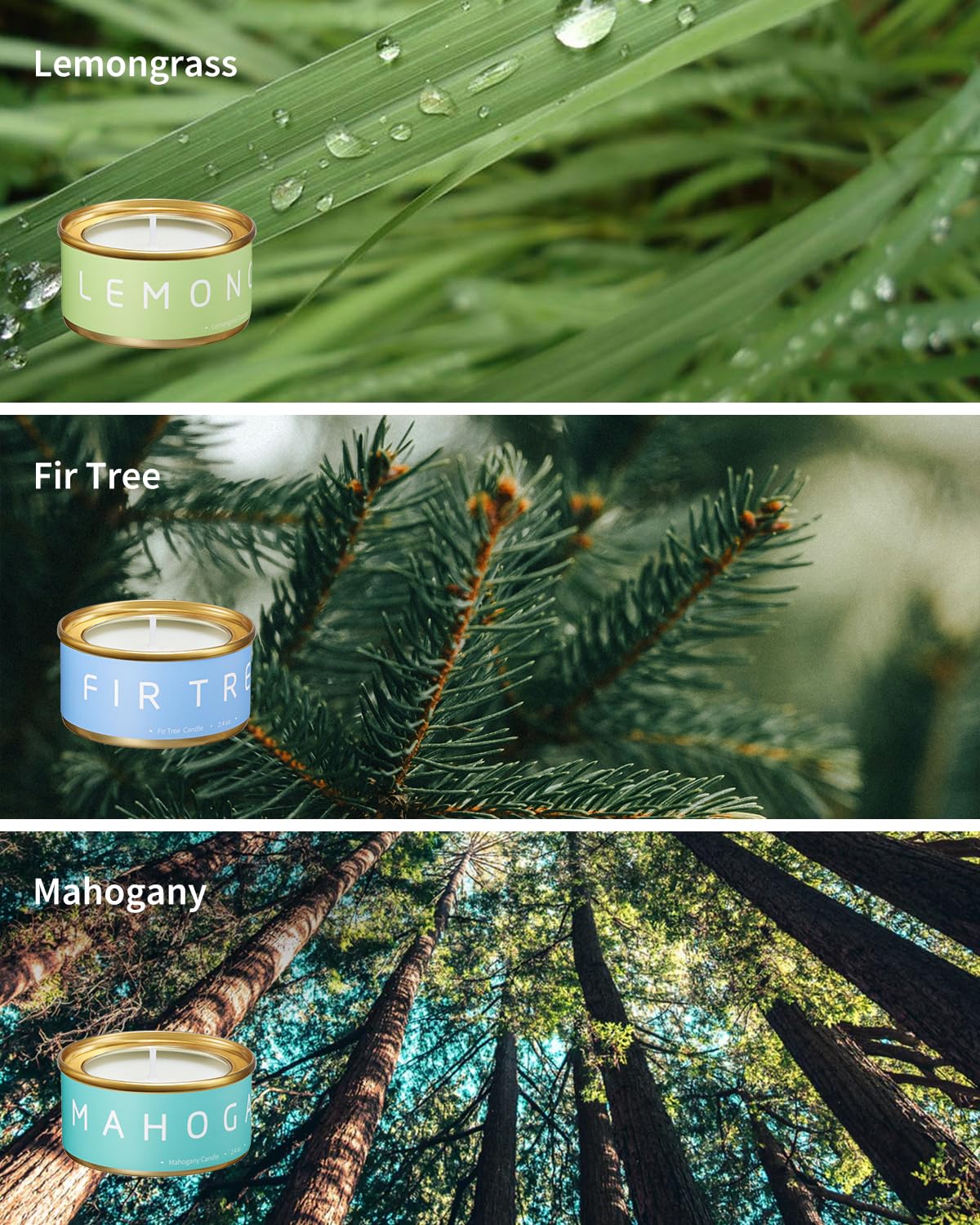Veda Tinda Scent: aroma de Abeto para estancias invernales y confort.