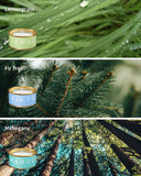 Veda Tinda Scent: aroma de Abeto para estancias invernales y confort.