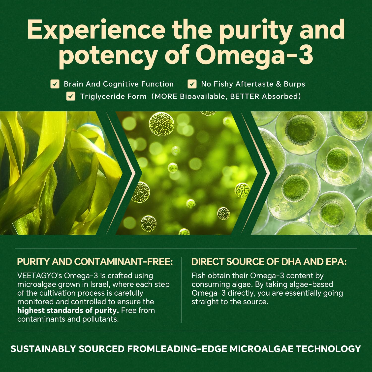 Botella VEETAGYO con gominolas Omega 3 para uso diario