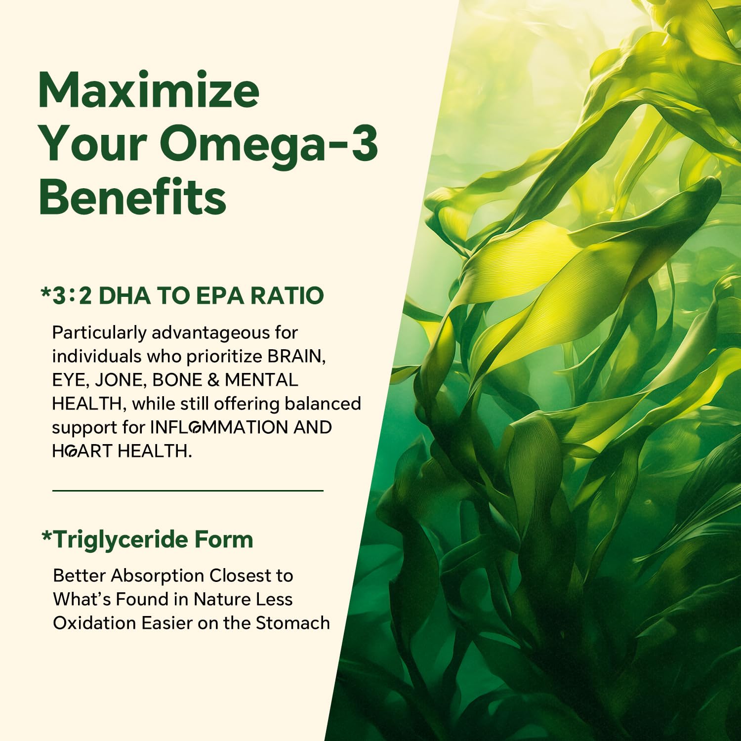Ingredientes de algas vegetales en VEETAGYO para omega 3 vegano