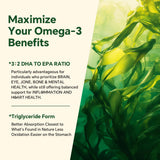 Ingredientes de algas vegetales en VEETAGYO para omega 3 vegano