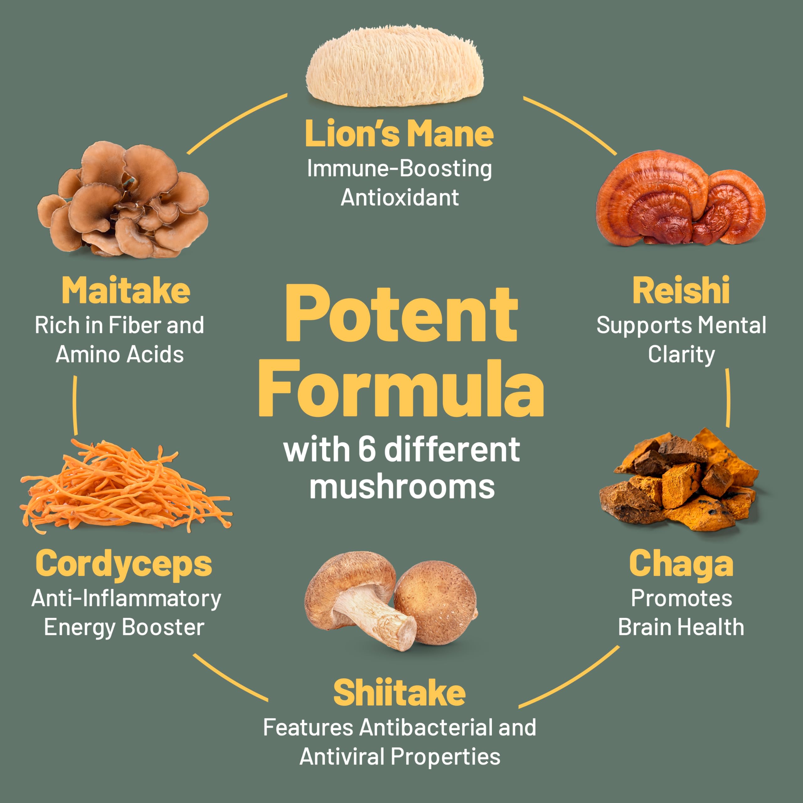 Vegan Vitality Multi Mushroom Capsule Dose: tomar hasta 3 cápsulas al día.