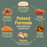 Vegan Vitality Multi Mushroom Capsule Dose: tomar hasta 3 cápsulas al día.