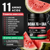 Venture Pal electrolitos y vitaminas para hidratación diaria y rendimiento.
