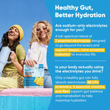 Venture Pal: probióticos y fibra para apoyo intestinal