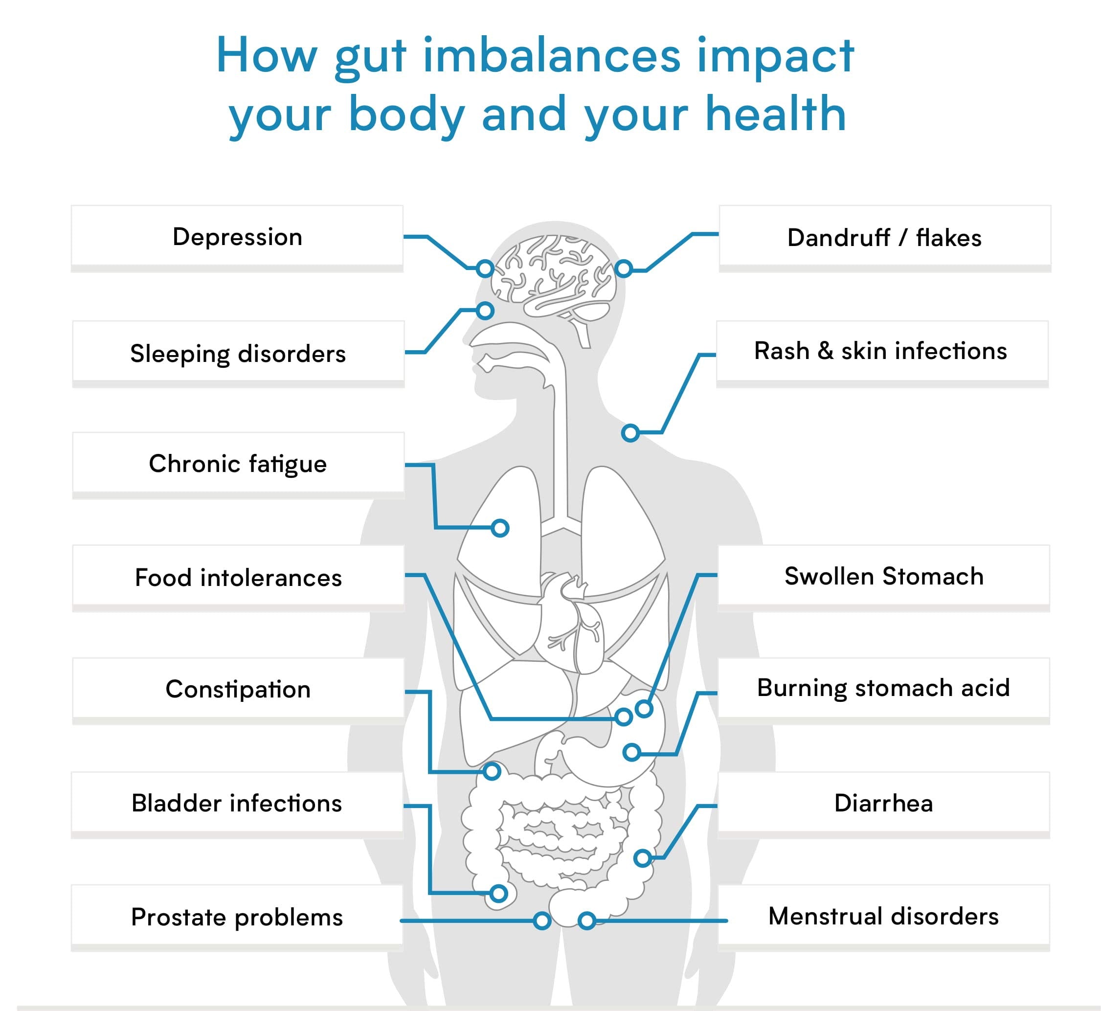 Verisana kit muestras microbioma, muestreo sencillo para analizar la microbiota intestinal.