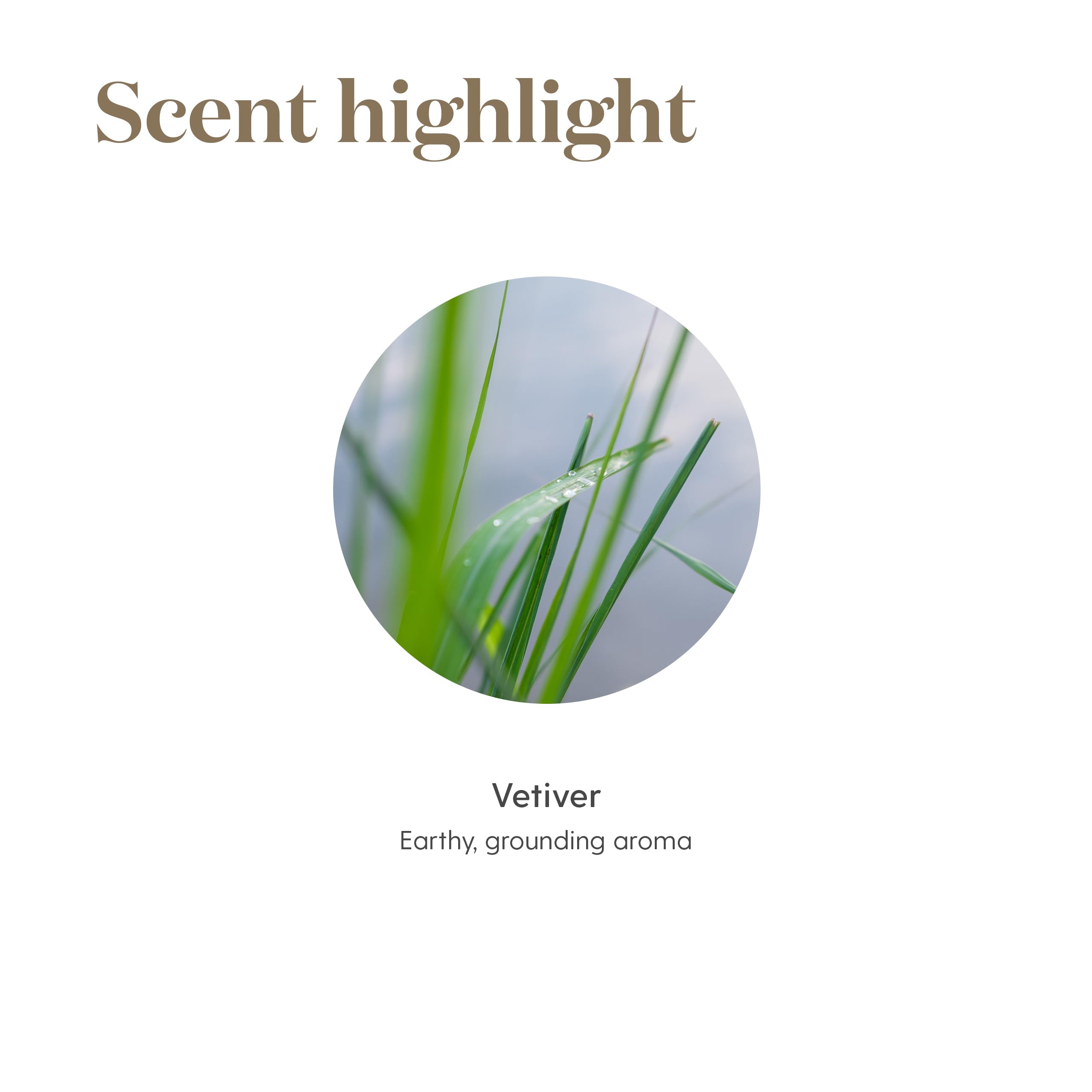 Experiencia sensorial terrosa de Vetiver de Young Living