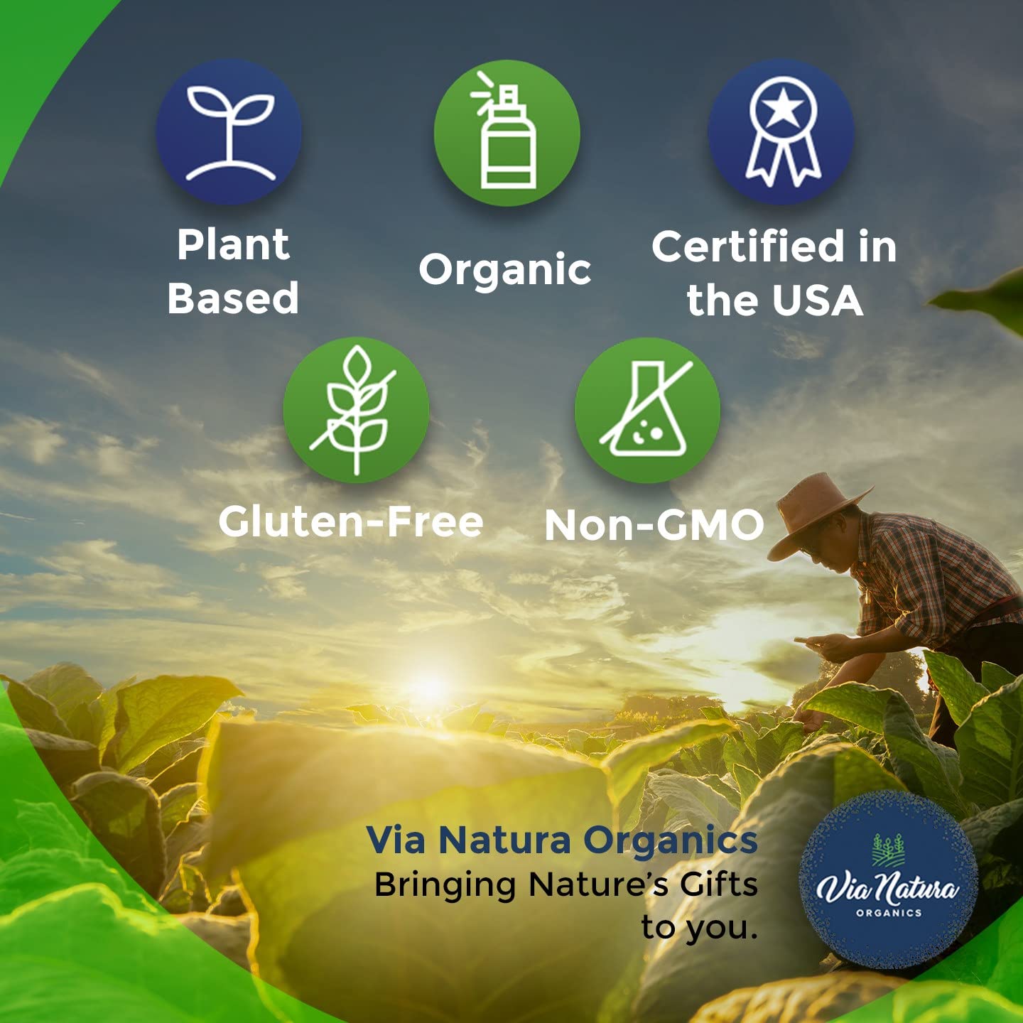 Envase externo de Via Natura Organics Amla, presentación sostenible para conservación