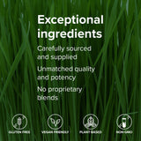 Prebióticos y enzimas en Vibrant Health Green Vibrance para absorción