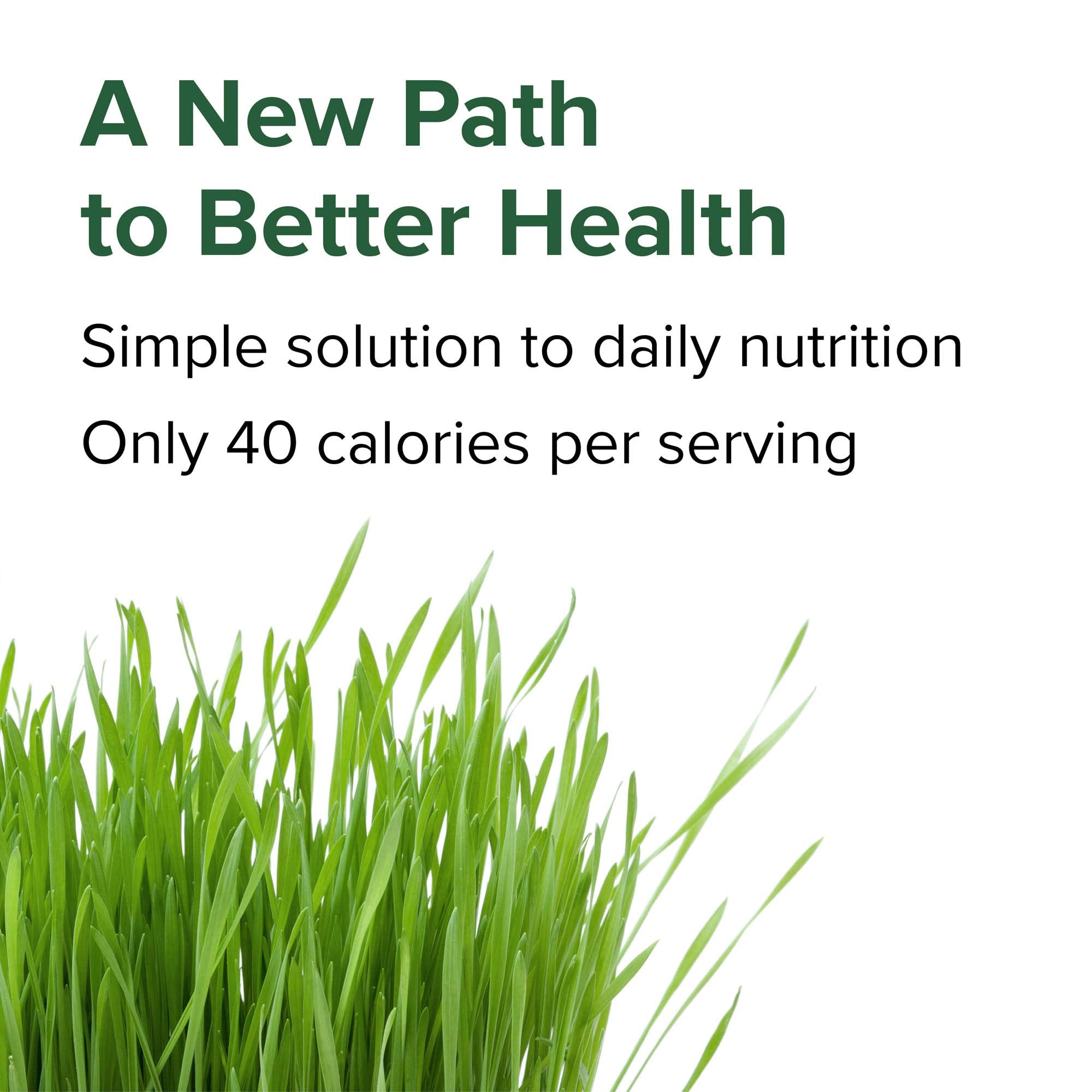 Vibrant Health Green Vibrance: 25 mil millones de probióticos para apoyo digestivo.