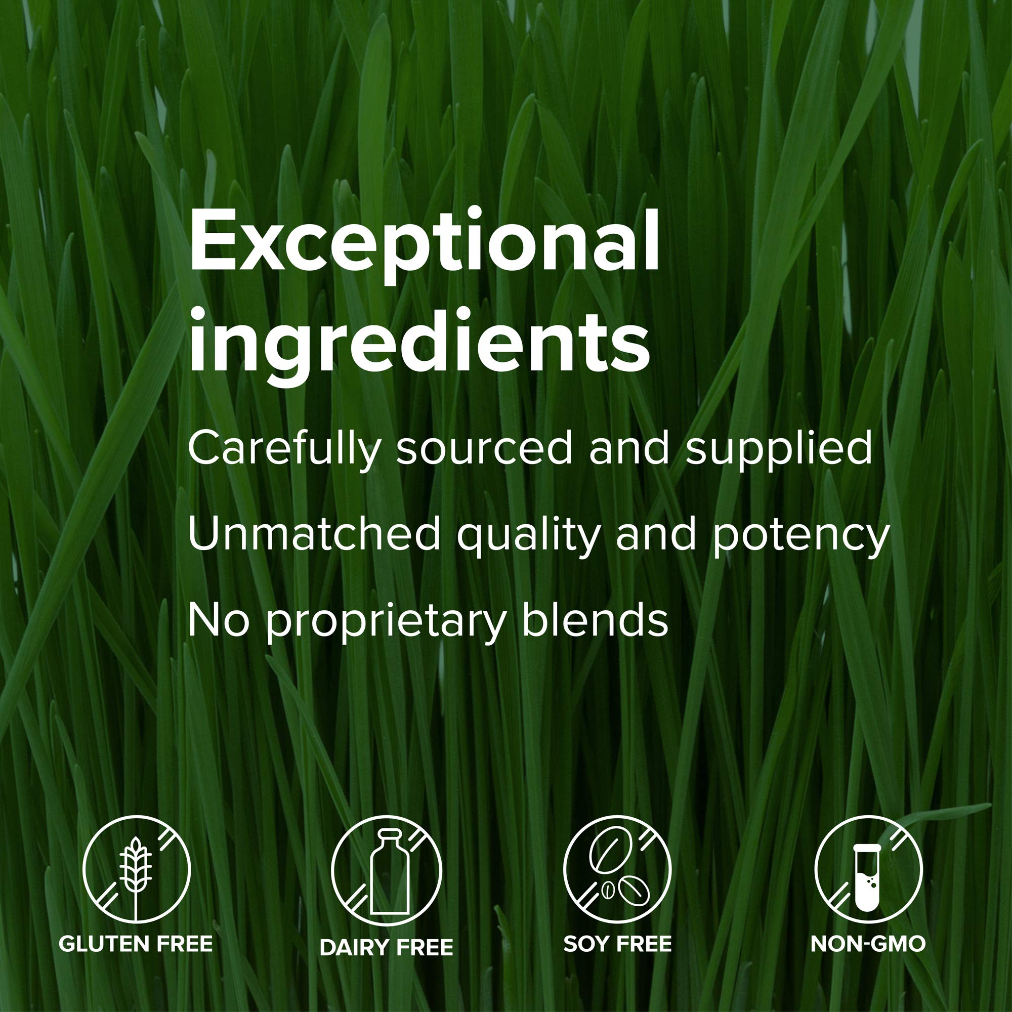Vibrant Health Joint Vibrance, preparado para mezclar en cocina o mesa