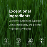 Vibrant Health Maximum Vibrance Chocolate, mezclar 4 cucharadas en 240 ml de agua.