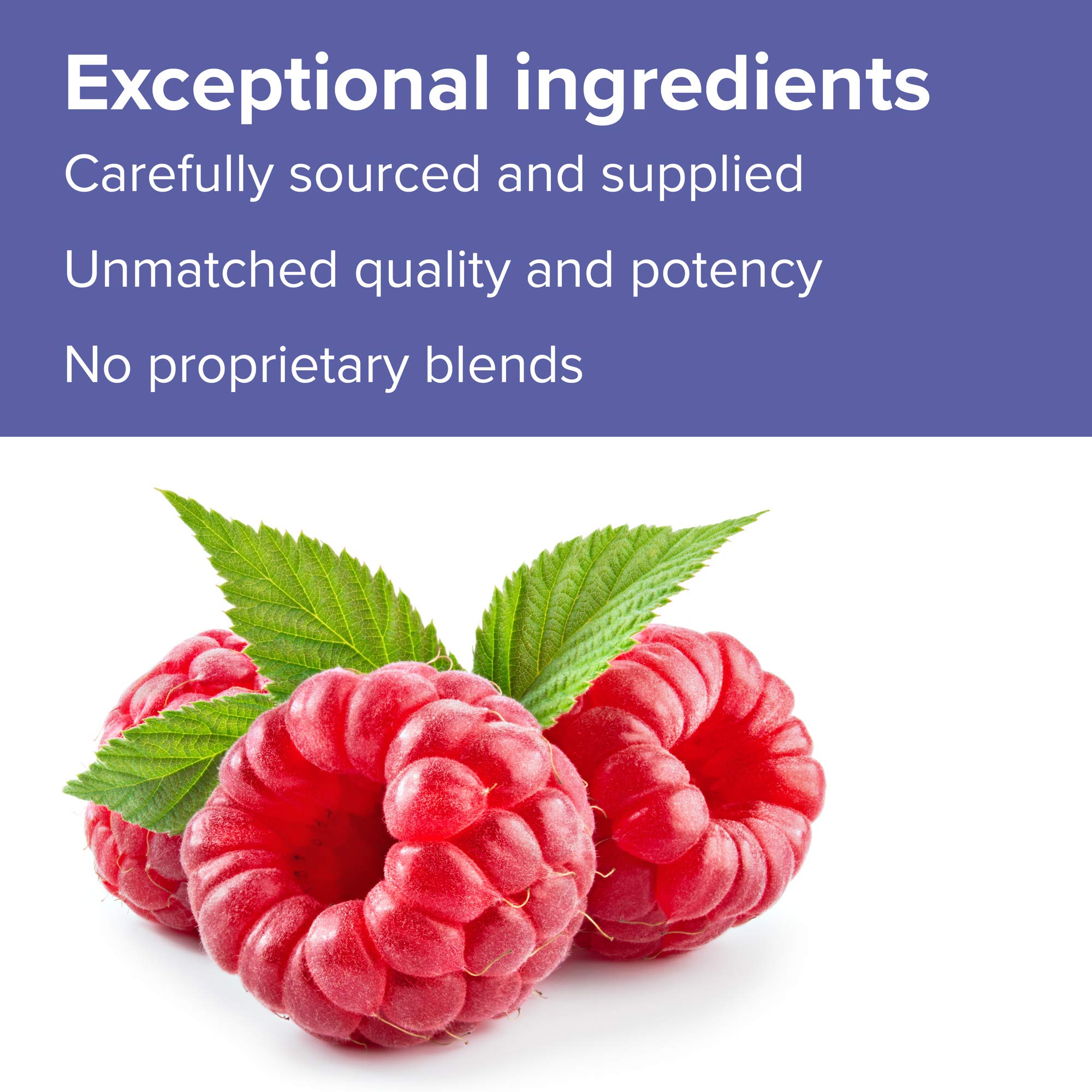 Vibrant Health Spectrum Vibrance, ingredientes clave visibles, simbolizan antioxidantes de origen vegetal.