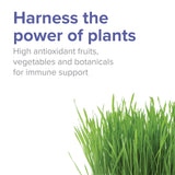 Vibrant Health Spectrum Vibrance, mezcla de frutas y verduras, fuente de antioxidantes.